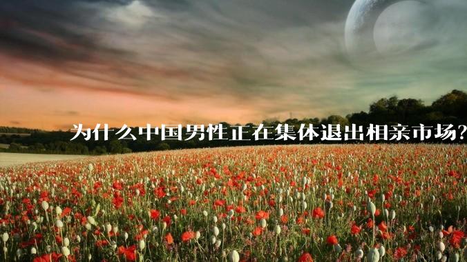 为什么中国男性正在集体退出相亲市场？