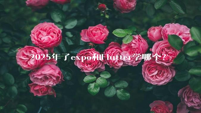 2025年了expo和Flutter学哪个？